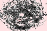 a photo of an ant death spiral, all the ants following each other in a circle