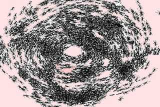 a photo of an ant death spiral, all the ants following each other in a circle
